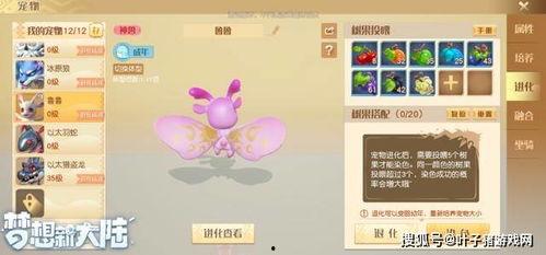 寻梦最新爆料消息,神秘新角色揭秘，剧情走向再引热议