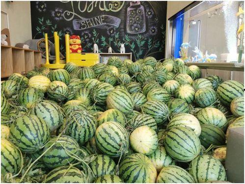 吃瓜免费观看,揭秘热门事件背后的真相 第3张 吃瓜免费观看,揭秘热门事件背后的真相 第3张